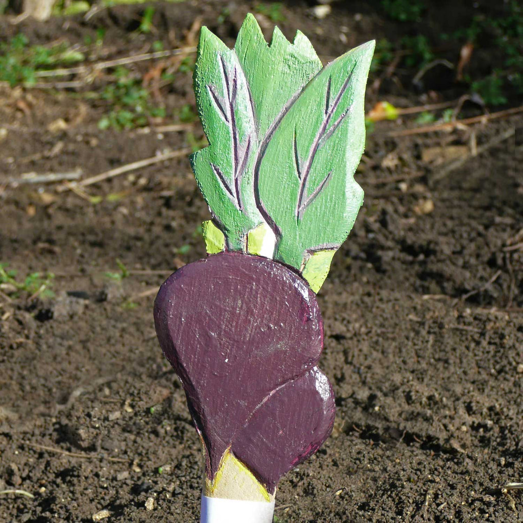 Beetroot Garden Seed Marker
