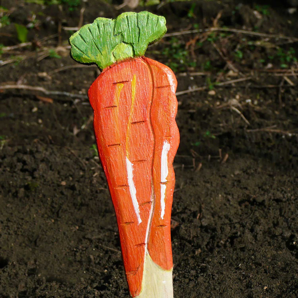 Carrot Garden Seed Marker