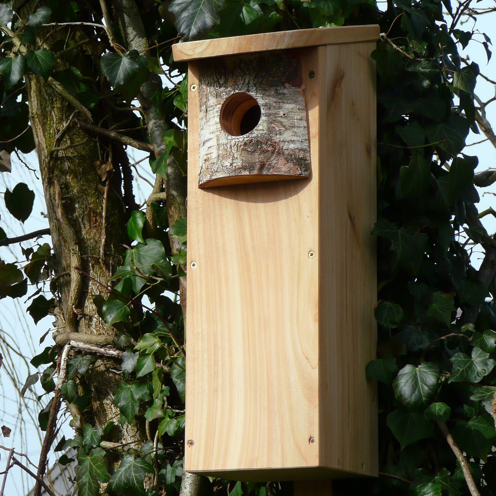 Woodpecker Box